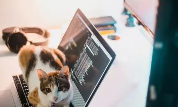 A Cat on a laptop builds a Pawshake profile