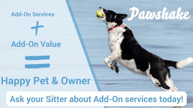 Add-On Services