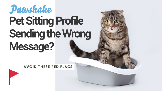 A cat using litter - red flags