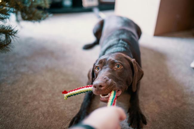 Negotiating doesn't have to be a Tug-of-War